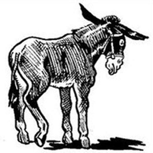 To the declining donkey